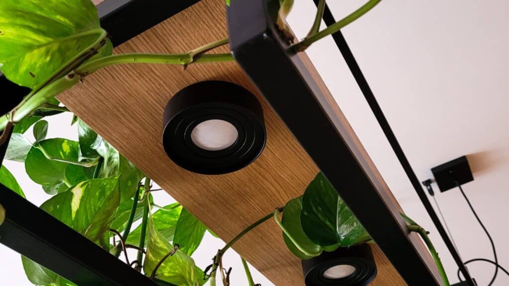 Lampa półka – wisząca lampa na zamówienie